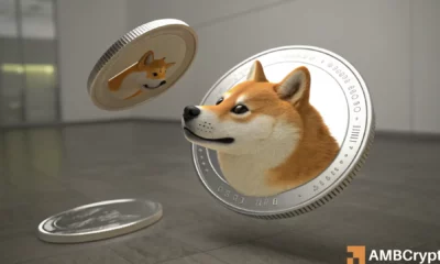 Shiba Inu faces key support levels as whales accumulate amid volatility