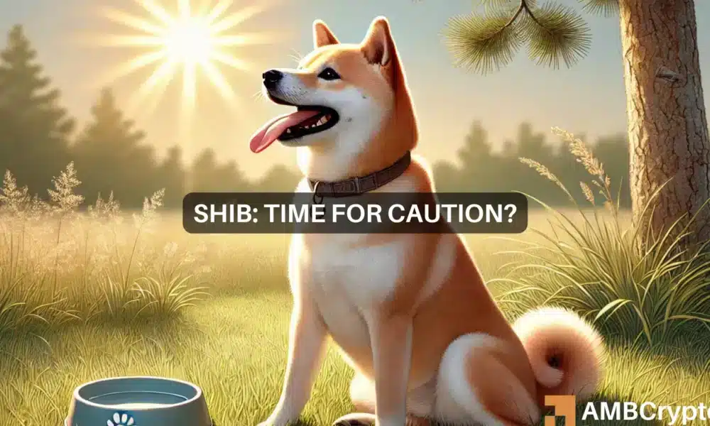 Shiba Inu’s 18% rise meets market caution – Is SHIB overheated?