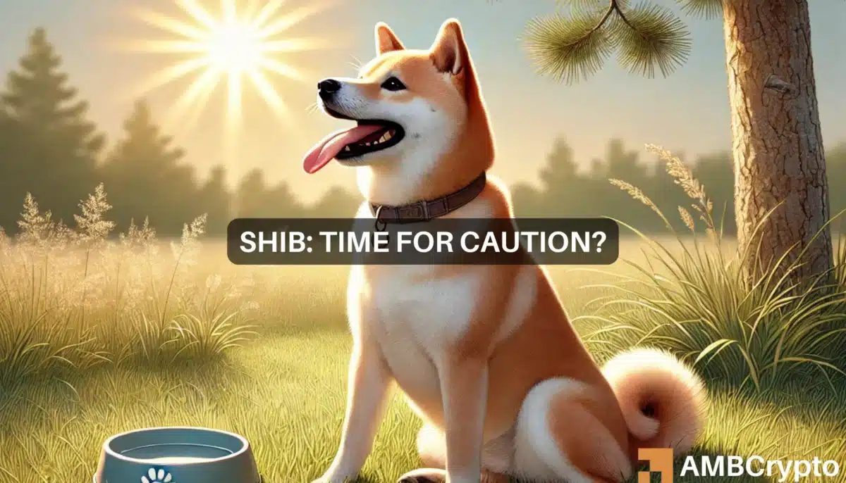 Shiba Inu's 18% rise meets market caution - Is SHIB overheated?