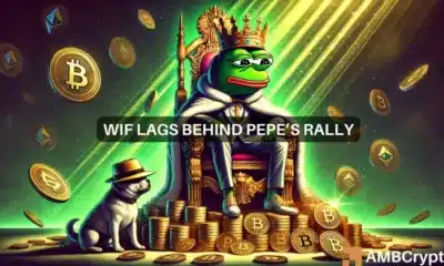 PEPE vs WIF- The frog is more popular than the hatted dog