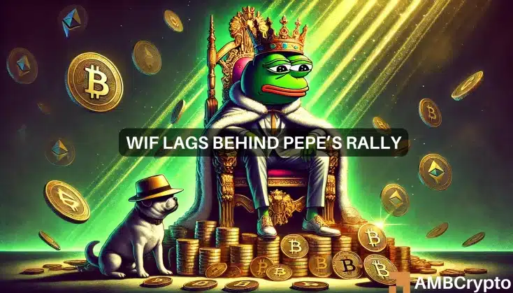 PEPE vs WIF- The frog is more popular than the hatted dog