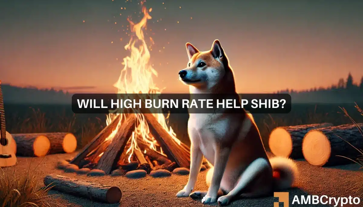 Will high burn rate help SHIB?