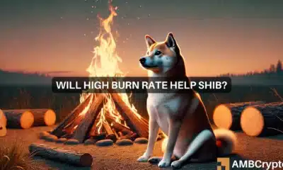 Will high burn rate help SHIB?