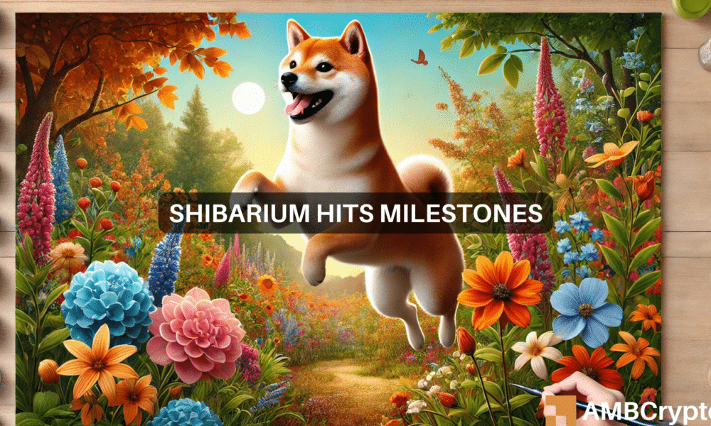 2 News Article Image Этап Shiba Inu – транзакций Shibarium достигает 600 миллионов долларов