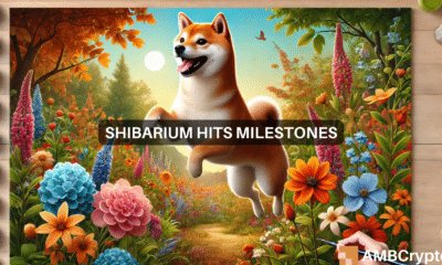 Shiba Inu milestone - Shibarium transactions reach $600 mln