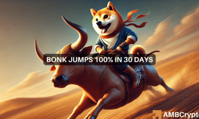 What Bonk's 100% increase in 30 days means for traders