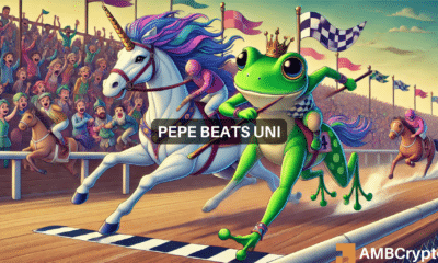 PEPE passes Uniswap in market cap, hits ATH - Memecoin mania effect?