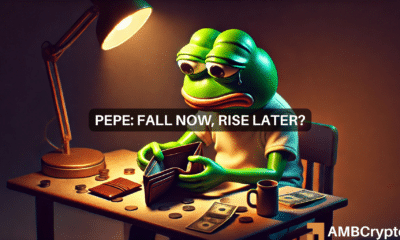 PEPE - Why THIS decline is good news for the memecoin