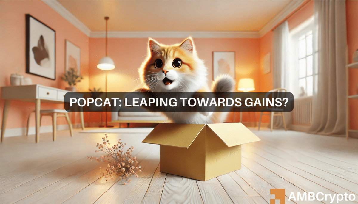 POPCAT defies crypto market trends - Can the memecoin rally 25% next?