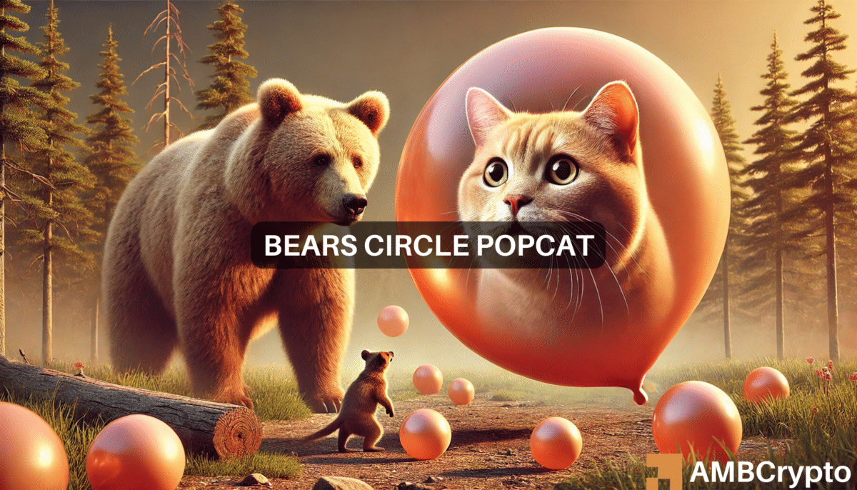 POPCAT declines 16% in 24 hours: Are bears lurking?