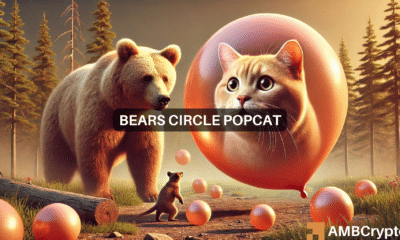 POPCAT declines 16% in 24 hours: Are bears lurking?