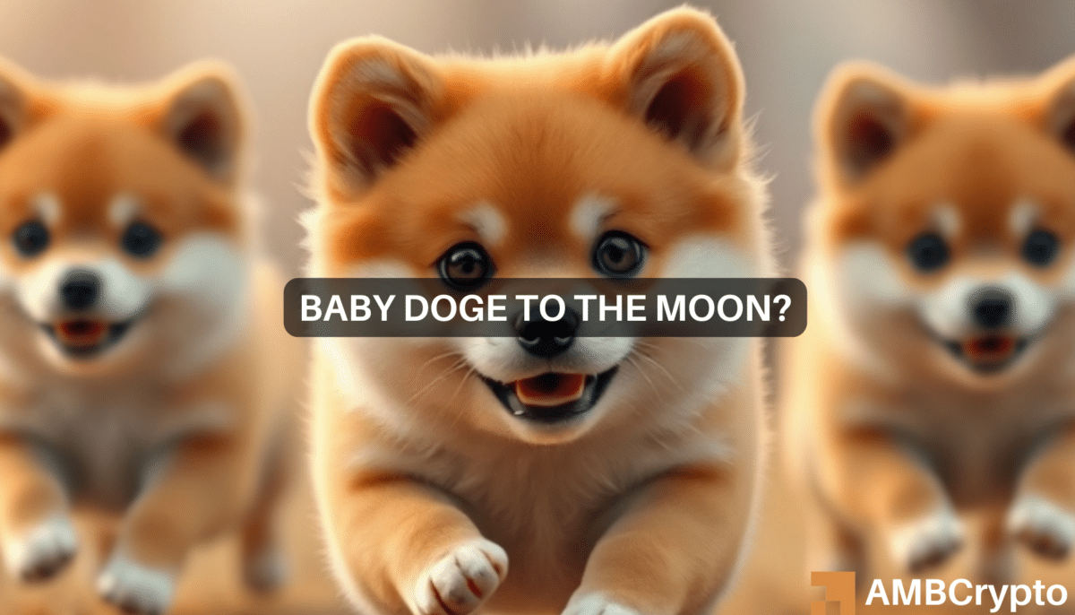 Elon Musk sparks Baby Doge frenzy, but is the hype short-lived?