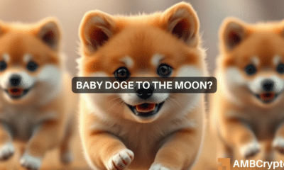 Elon Musk sparks Baby Doge frenzy, but is the hype short-lived?