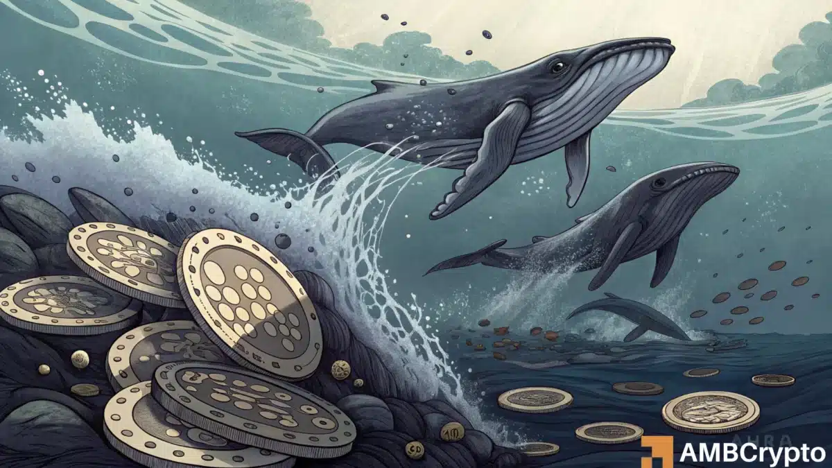 Whales accumulate ADA, but Cardano's rally remains uncertain