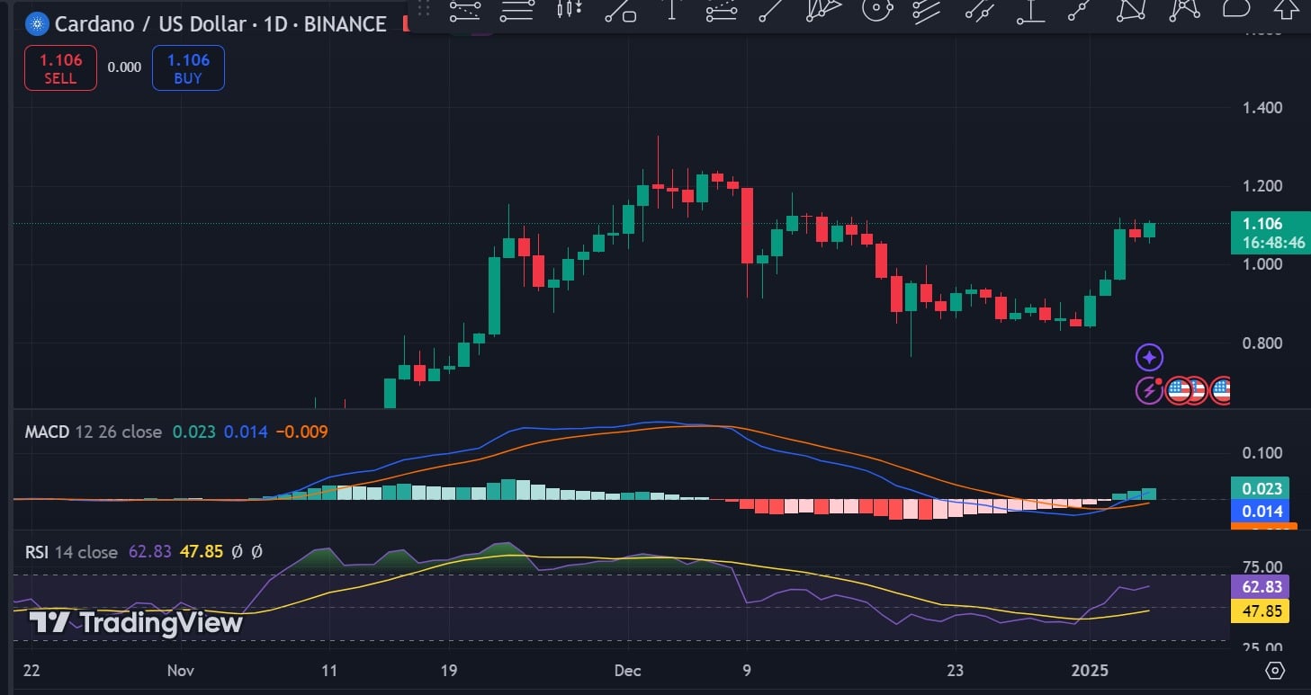 ADA rsi