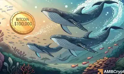 Will Bitcoin's liquidity and whale activity drive it past $100,000 again?