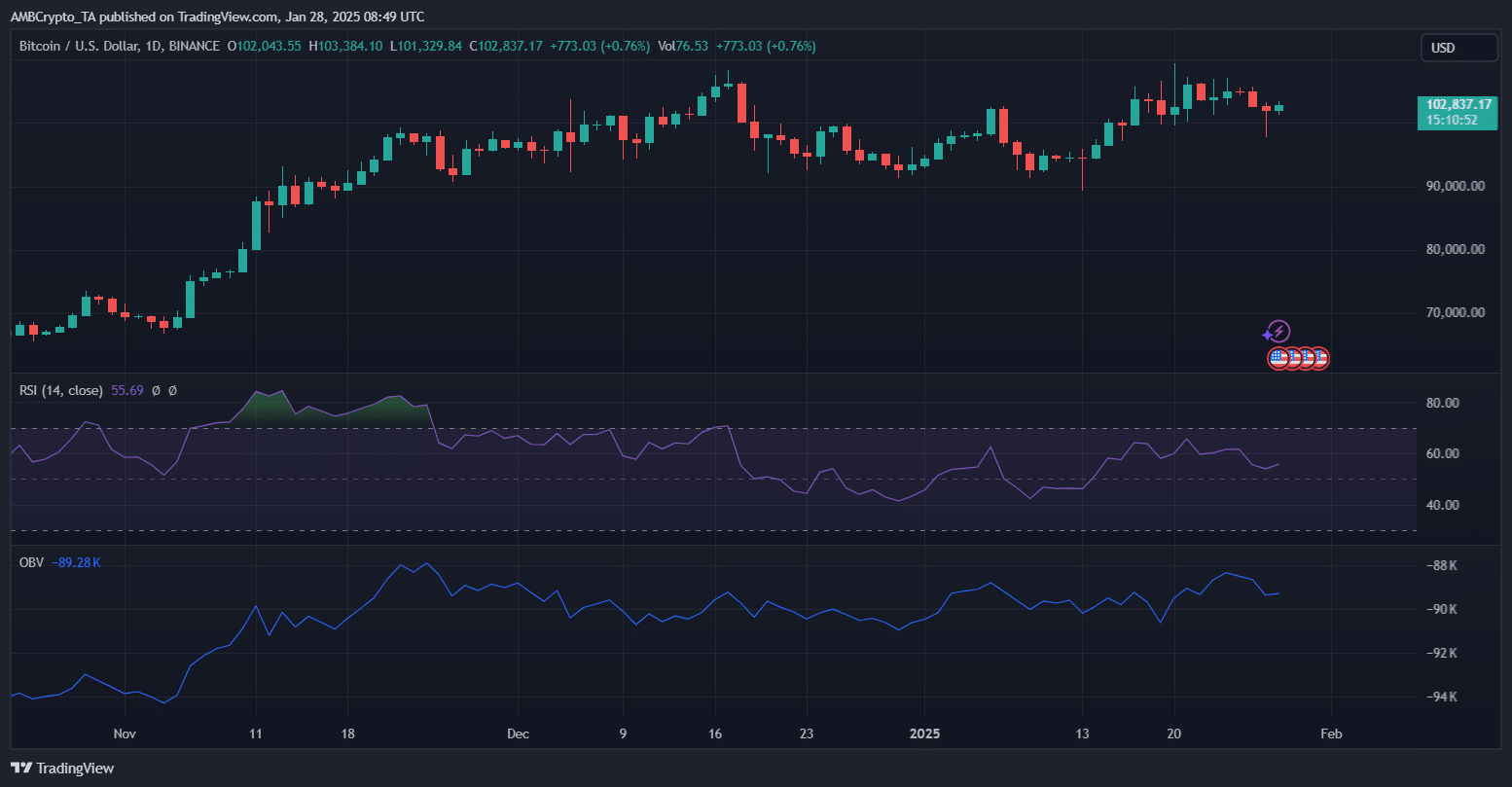 BTCUSD 2025 01 28 14 19 08