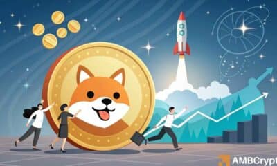 Shiba Inu (SHIB) ready for comeback? – Insights from on-chain metrics