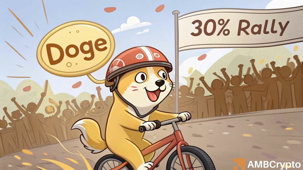 Dogecoin (DOGE) poised for 30% rally as whale activity surges
