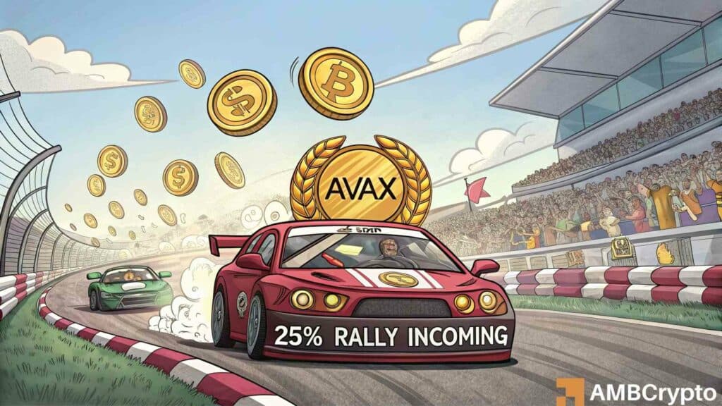 25% price rally may be on for AVAX, but what do traders, investors have to say?