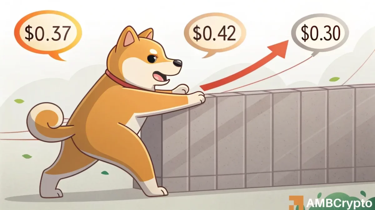 Dogecoin's Bearish Turn: Will the $0.336 Support Hold?