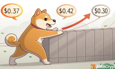 Dogecoin's Bearish Turn: Will the $0.336 Support Hold?