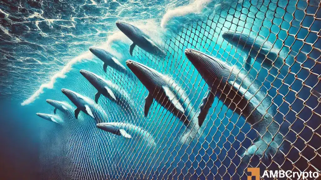 Chainlink surges 18% in 3 days - How whales helped LINK's recent surge