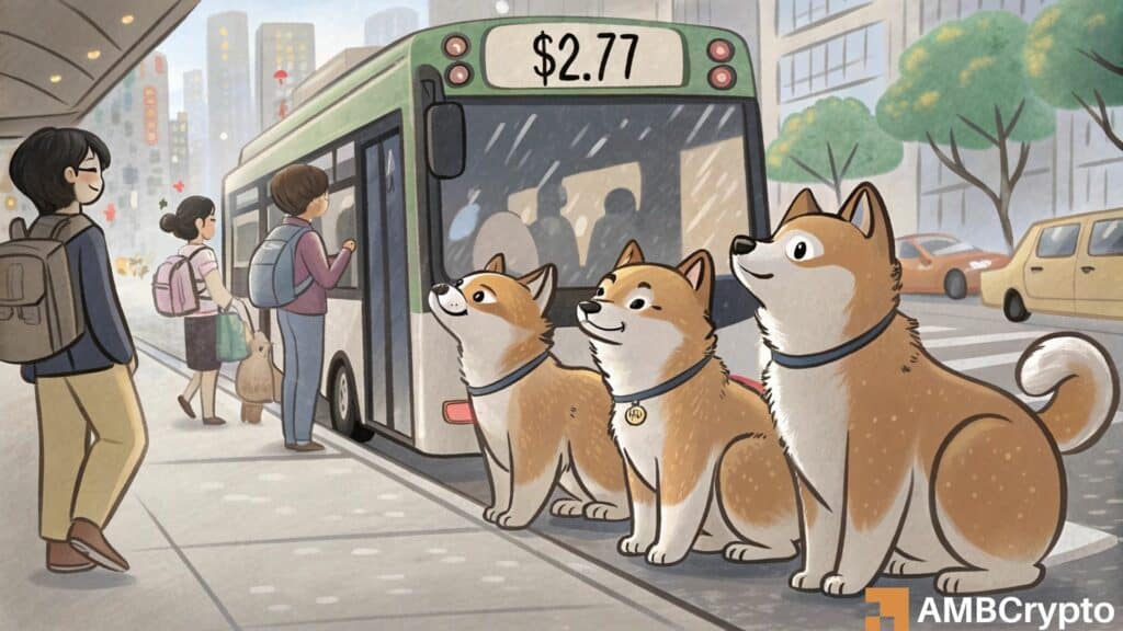 DOGE