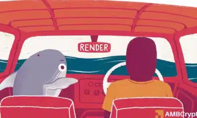 Render gains 29% in 7 days - Are whales driving RNDR ahead?