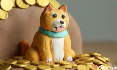 Shiba Inu whale accumulates 220B tokens: Sign of a long-term recovery?