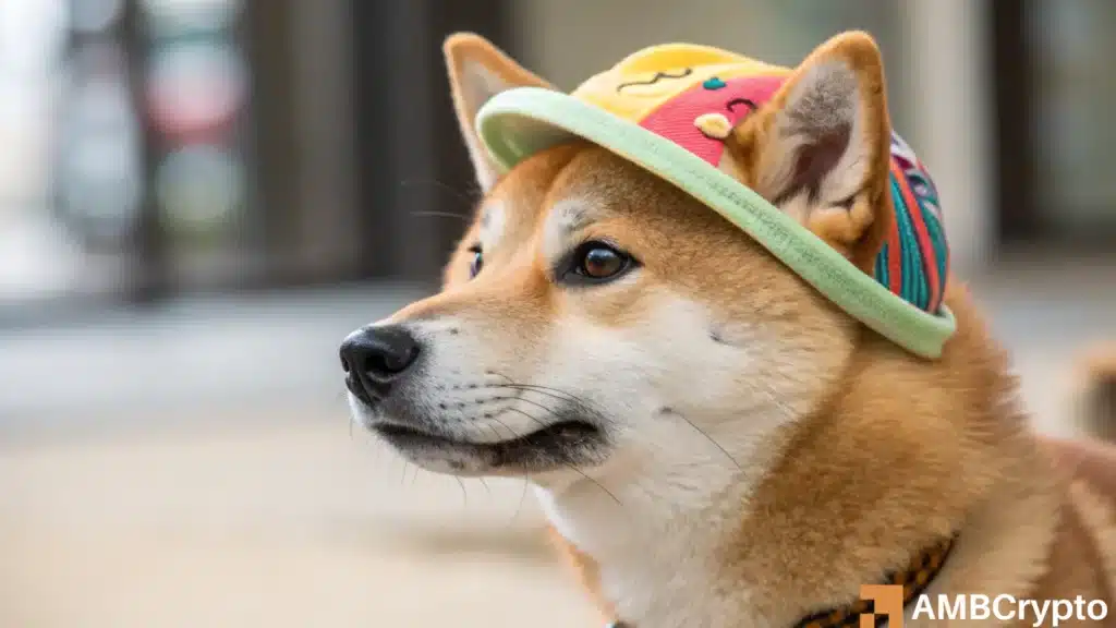 dogwifhat signals recovery with a 12% gain - Will the rally last?