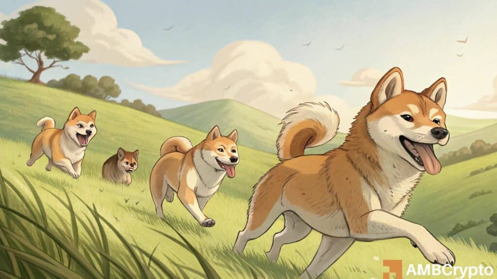 SHIB