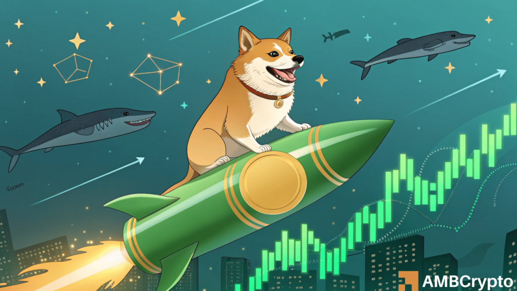 Dogecoin's breakout odds - Here's why whales might have the answer!