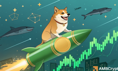 Dogecoin's breakout odds - Here's why whales might have the answer!