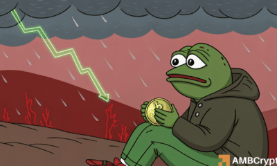 PEPE causes panic as market cap plunges by $7B: How far is recovery?