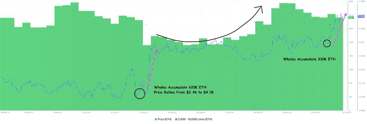 Ethereum whales