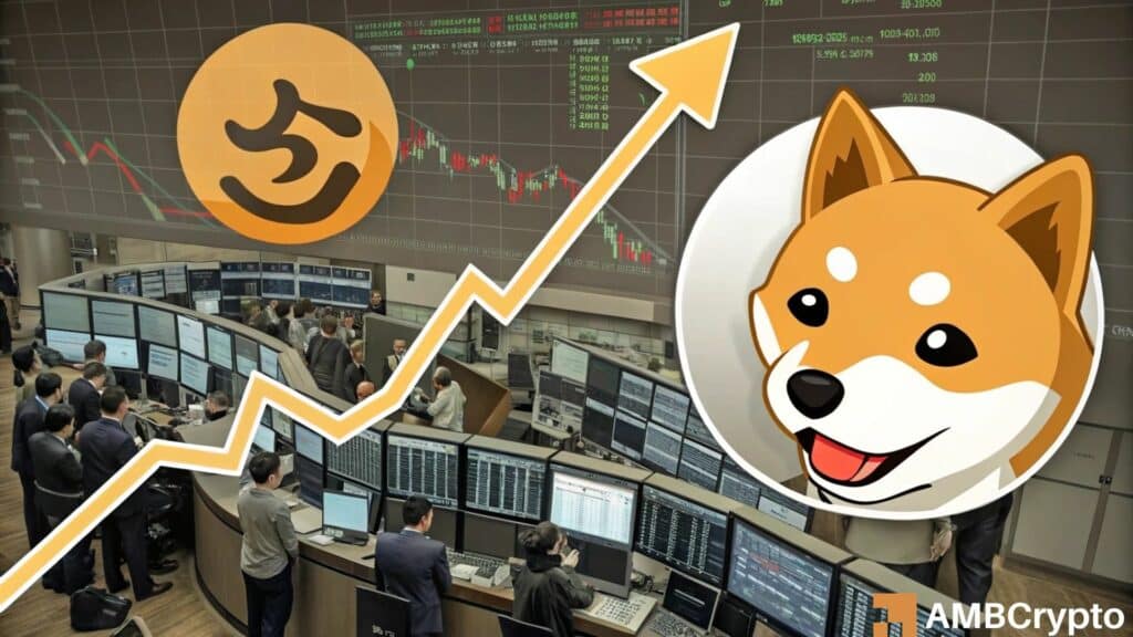 Shiba Inu's outflows might have THIS impact on SHIB's value