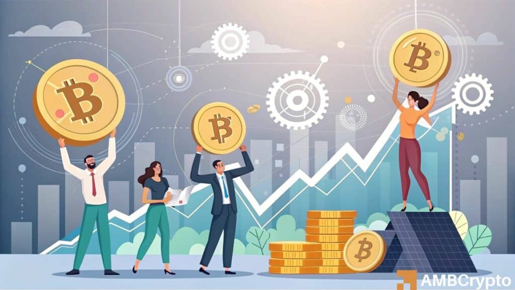 Identifying the impact of Bitcoin's long-term holders dominating the market