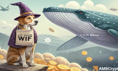 dogwifhat whale scoops up $13.34 mln WIF: Impact on price?