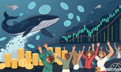 Breaking down Cardano whales' 40 million move and impact on ADA