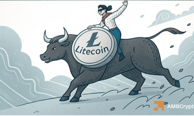 Litecoin enters recovery mode after December dip: What happens now?