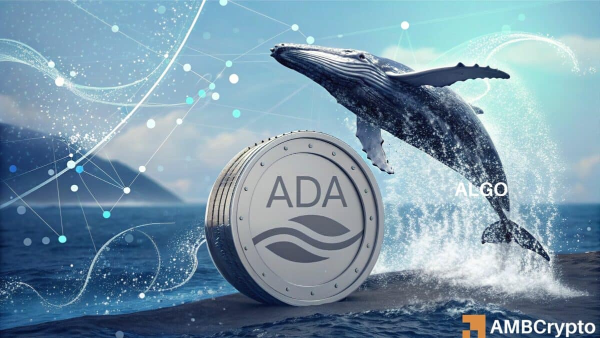 Cardano - How whales' re-entry can push ADA past $1.5 on the charts