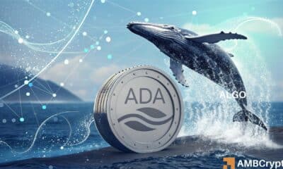 Cardano - How whales' re-entry can push ADA past $1.5 on the charts