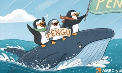 How PENGU whales re-entering the market can fuel 98%+ rally past ATH