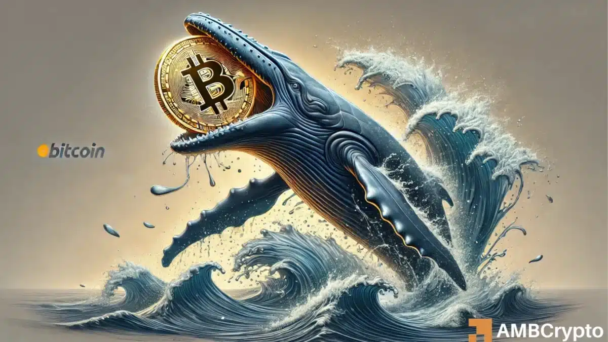 Is Bitcoin’s future at risk of whale manipulation? The shift you need to know