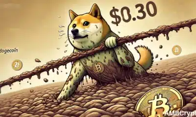 Dogecoin [DOGE]