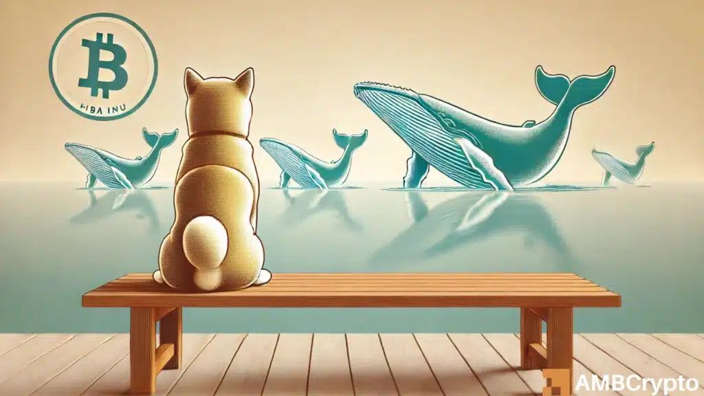 Shiba Inu whale