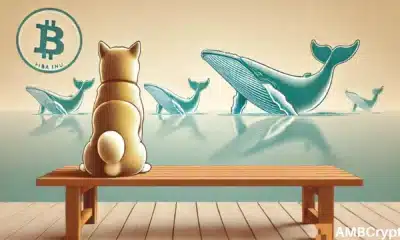 Shiba Inu whale