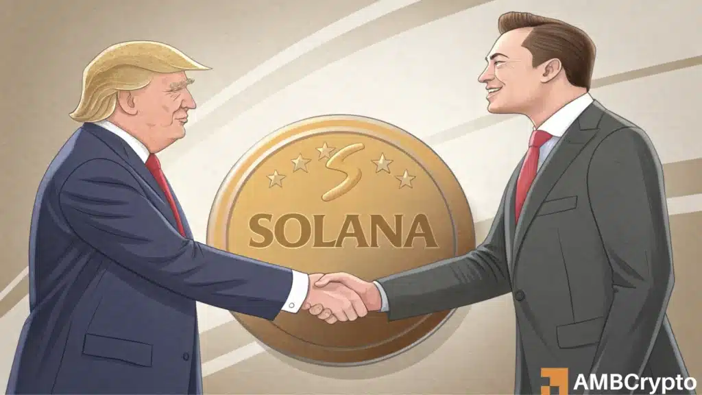 Solana set to gain from Elon Musk's D.O.G.E expansion - Here's how