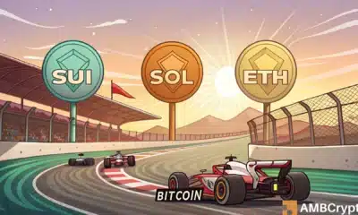 Bitcoin vs. altcoins - Whale interest, market sentiment, and more...